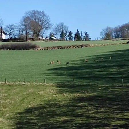 Santana 59 Mit Aufzug Und Balkon