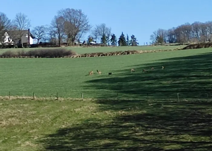 Santana 4-59 Mit Aufzug Und Balkon